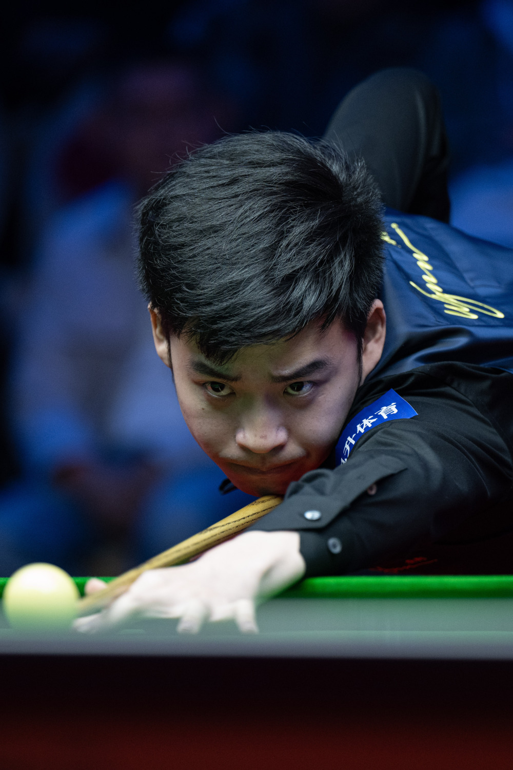 的热爱和支 的热爱和支